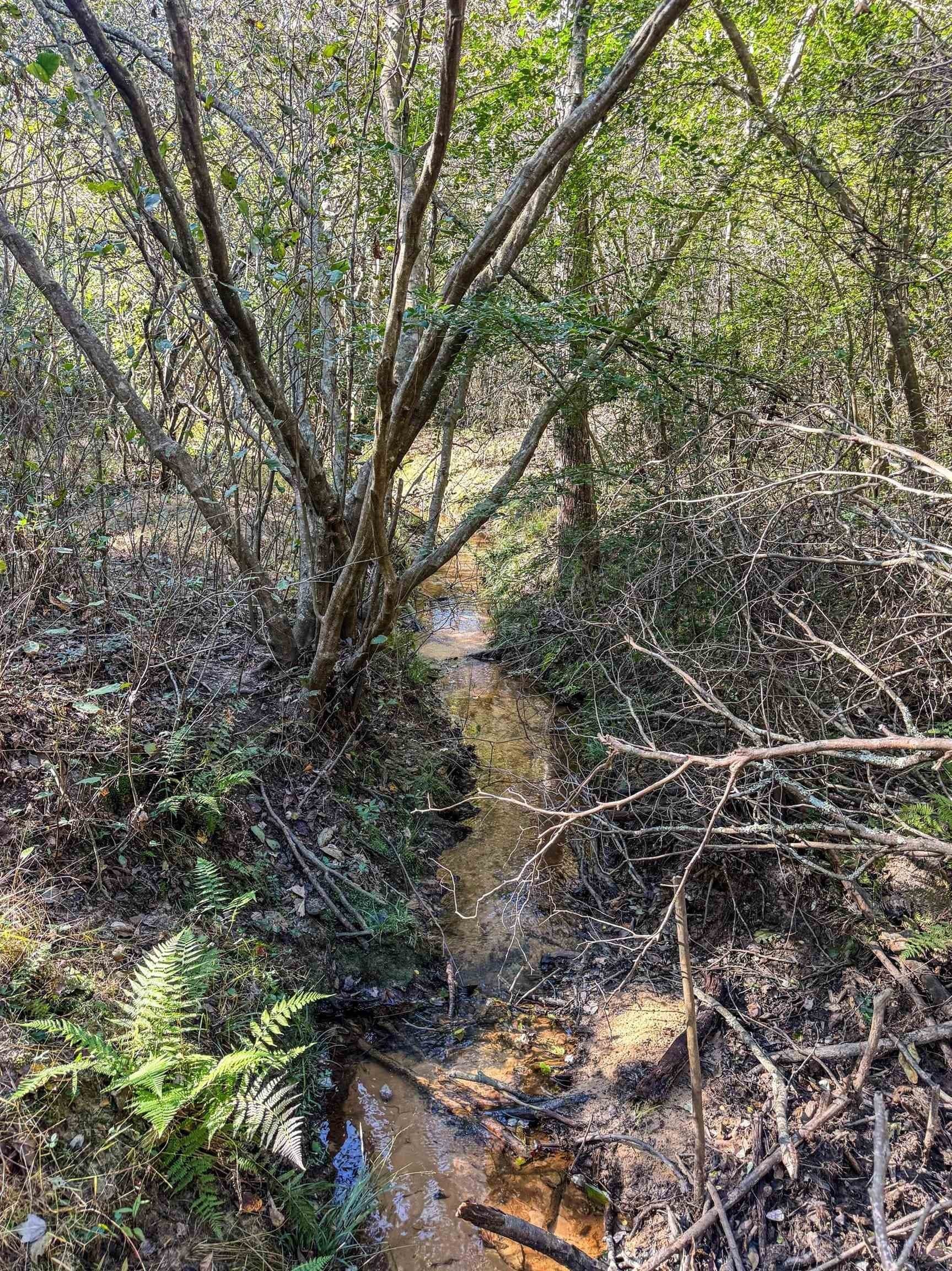 9.19 acres in Cass County - photo 12