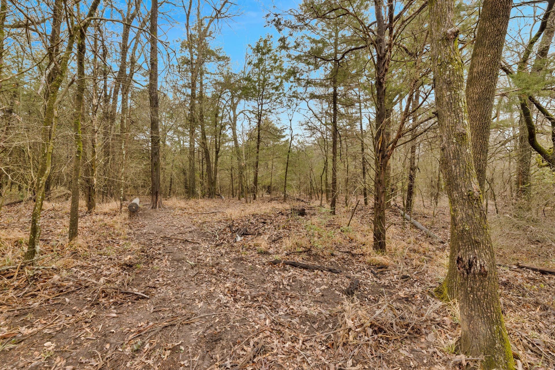 50 acres in Kaufman County - photo 6