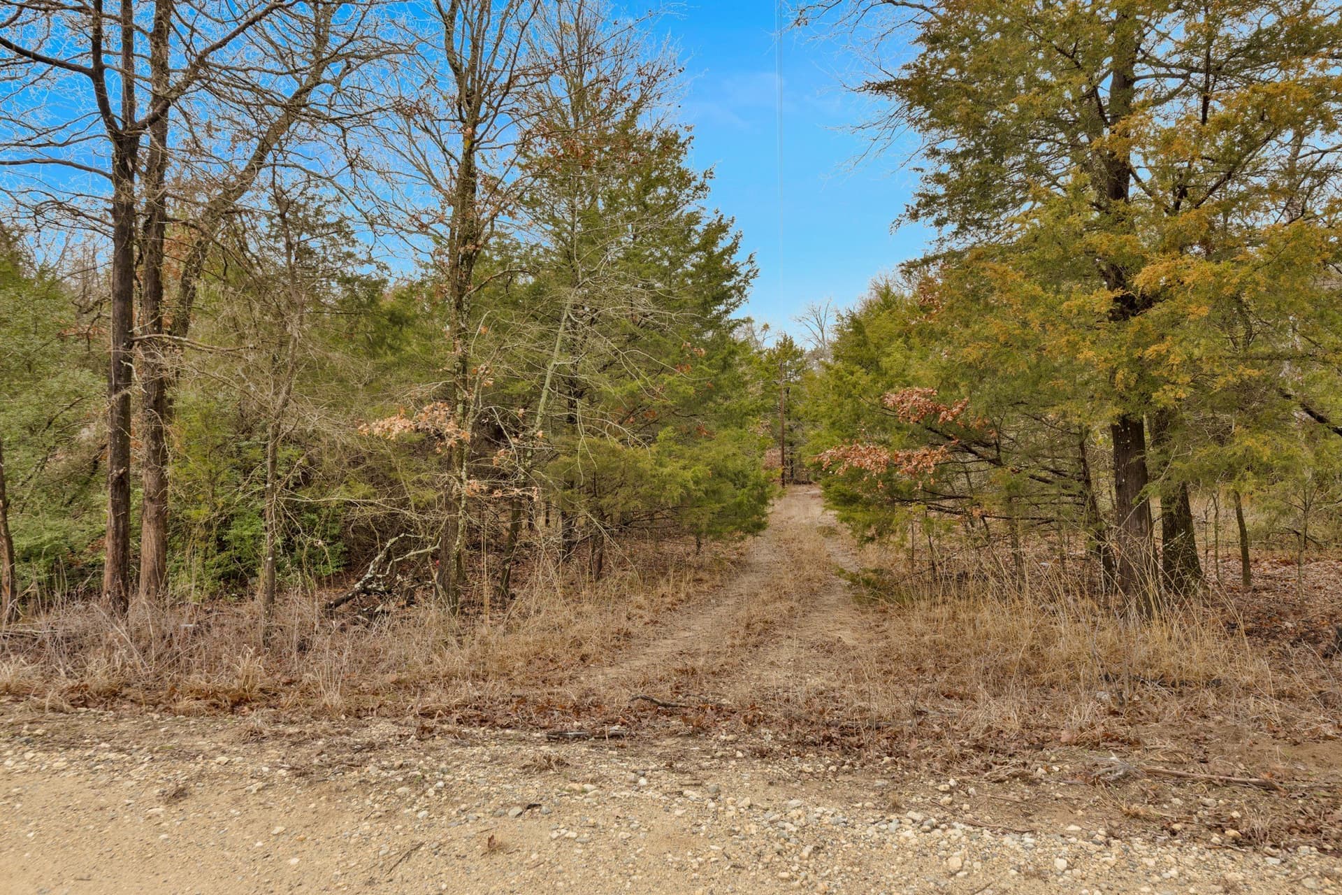 50 acres in Kaufman County - photo 7