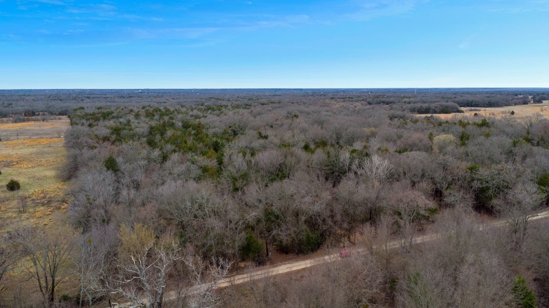 50 acres in Kaufman County - photo 14