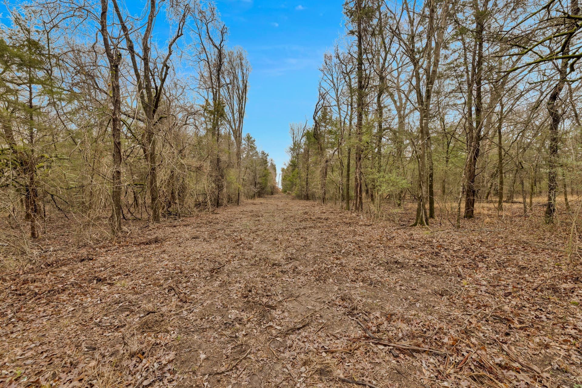 50 acres in Kaufman County - photo 5