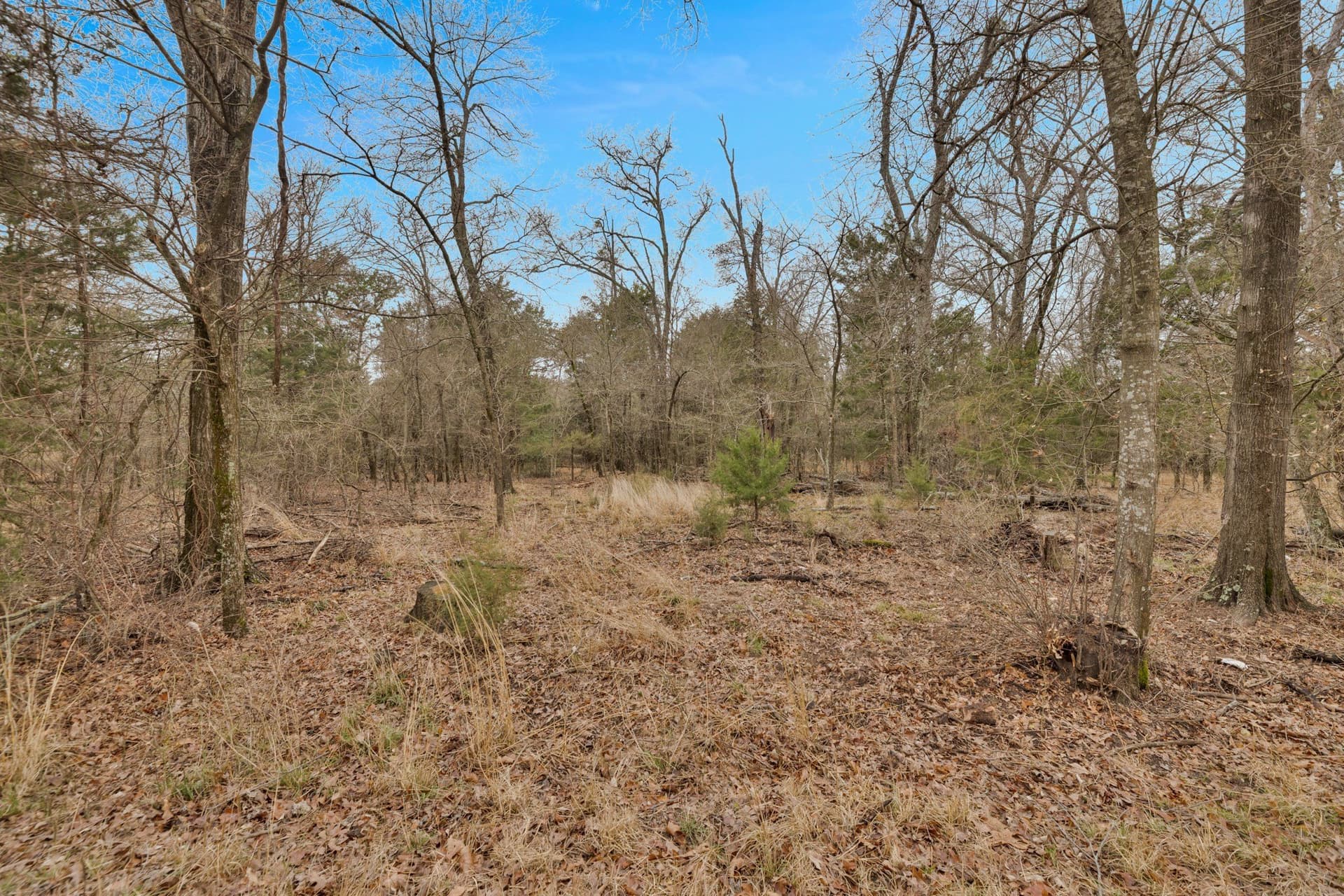 50 acres in Kaufman County - photo 10