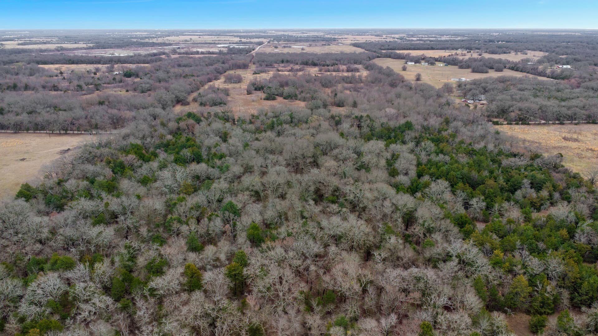 50 acres in Kaufman County - photo 22