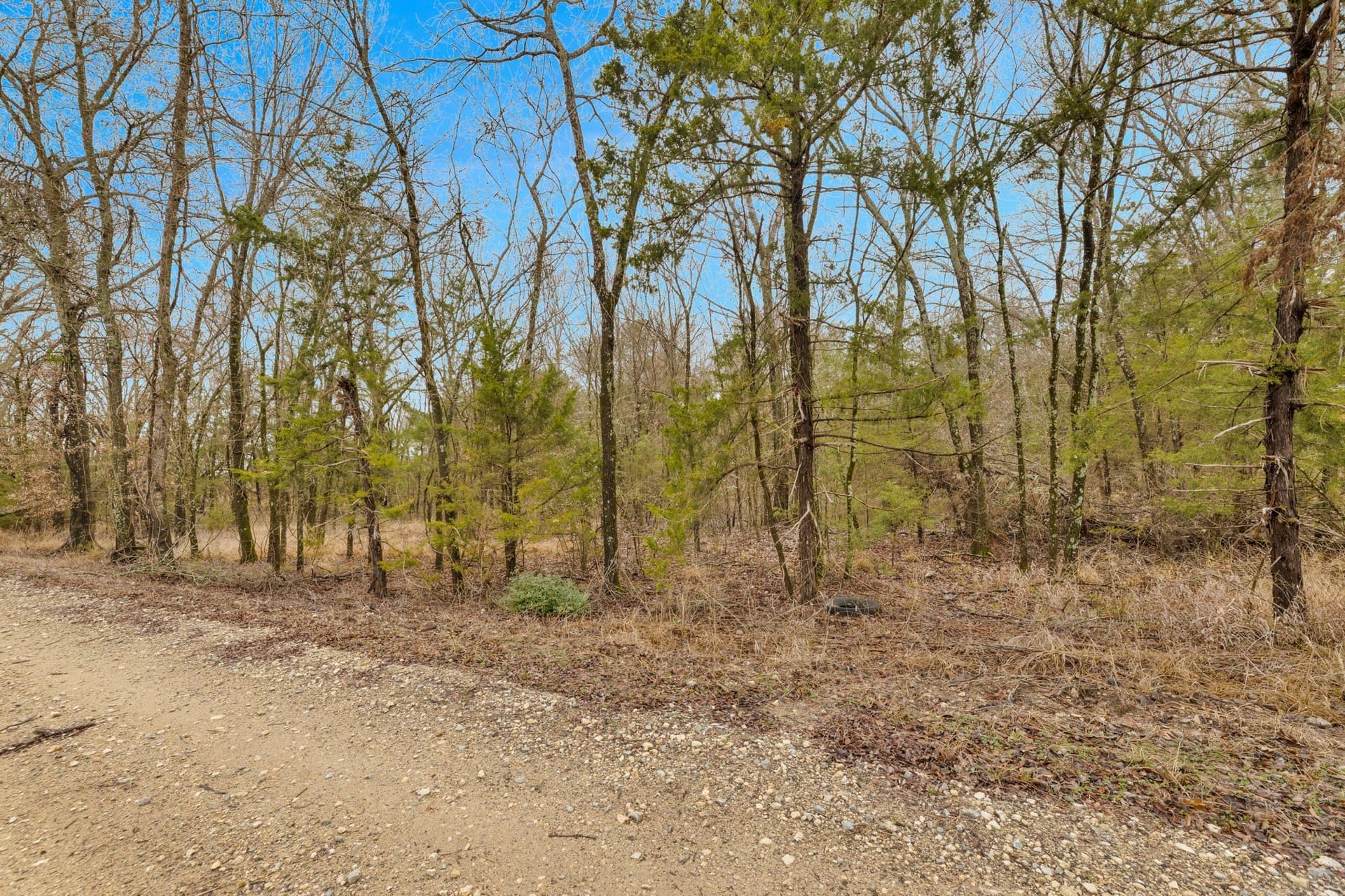 50 acres in Kaufman County - photo 3