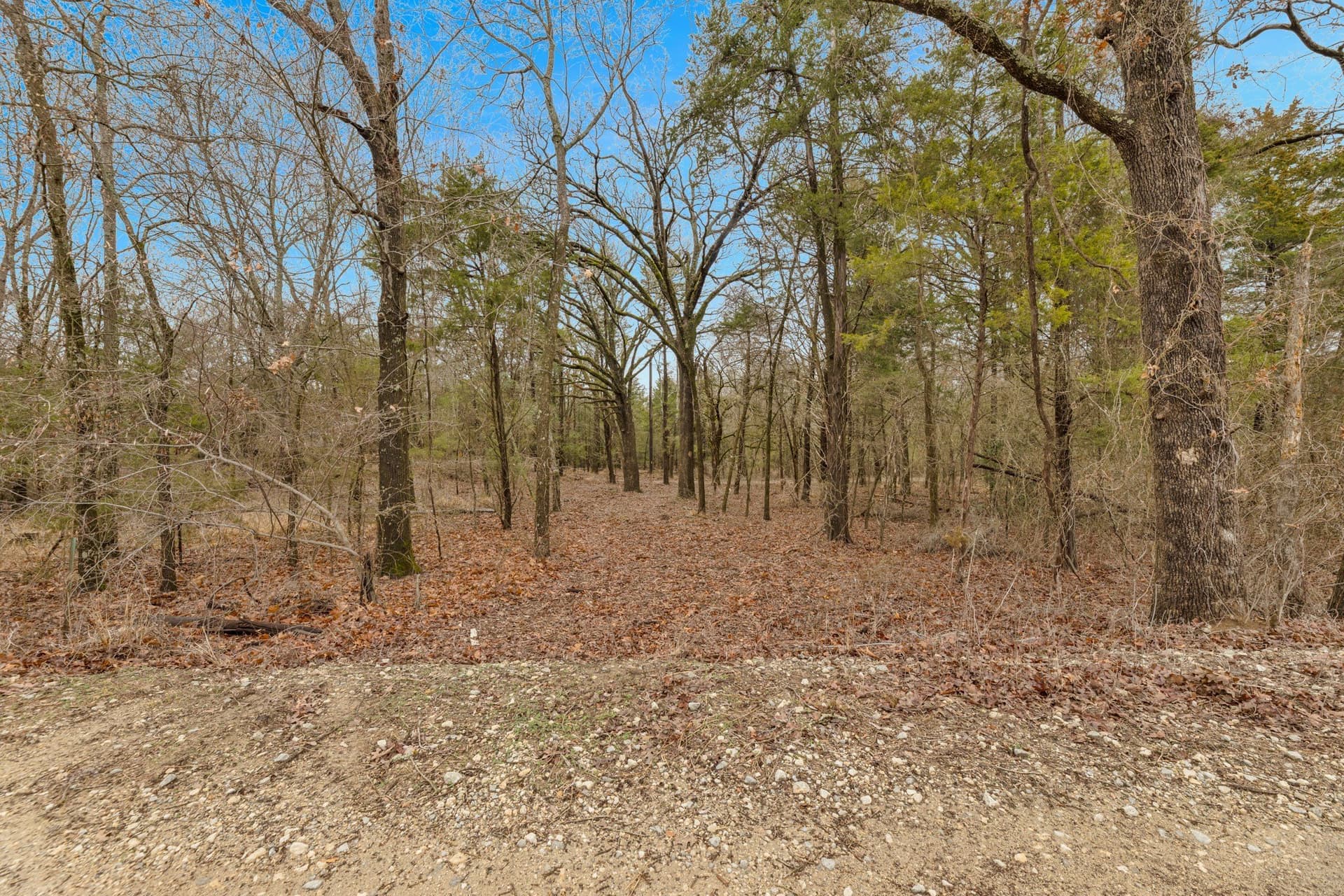 50 acres in Kaufman County - photo 4