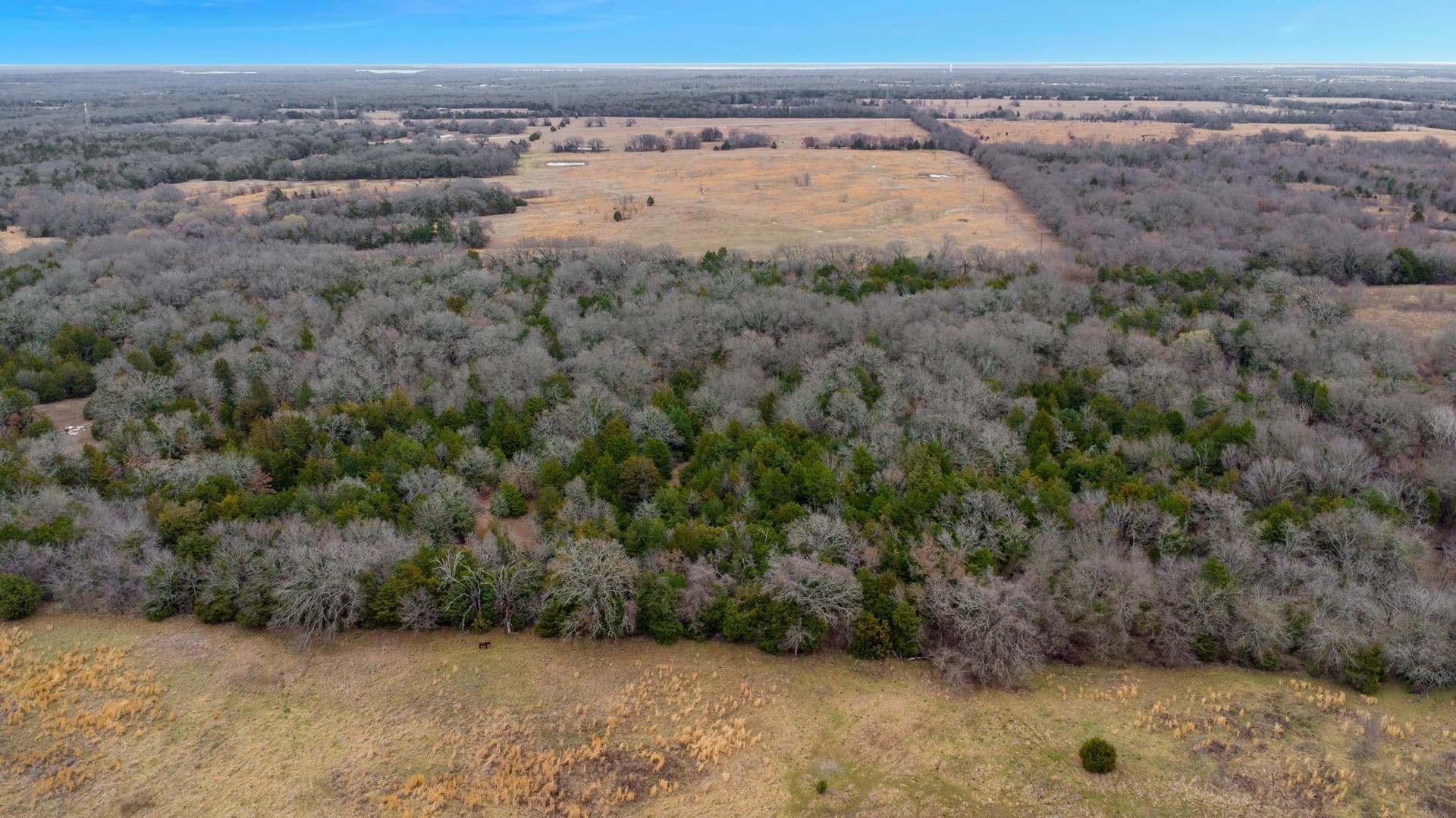 50 acres in Kaufman County - photo 23