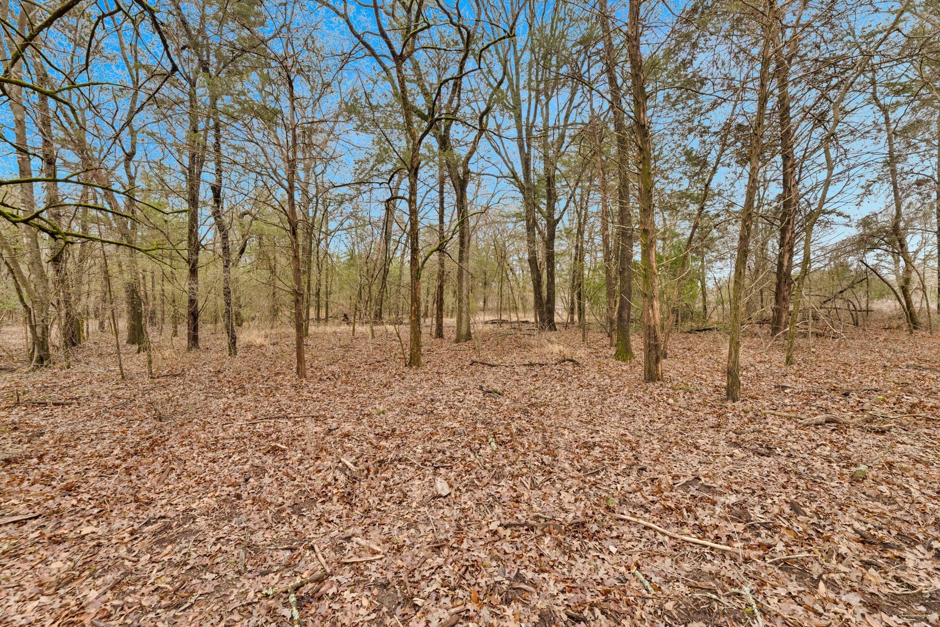50 acres in Kaufman County
