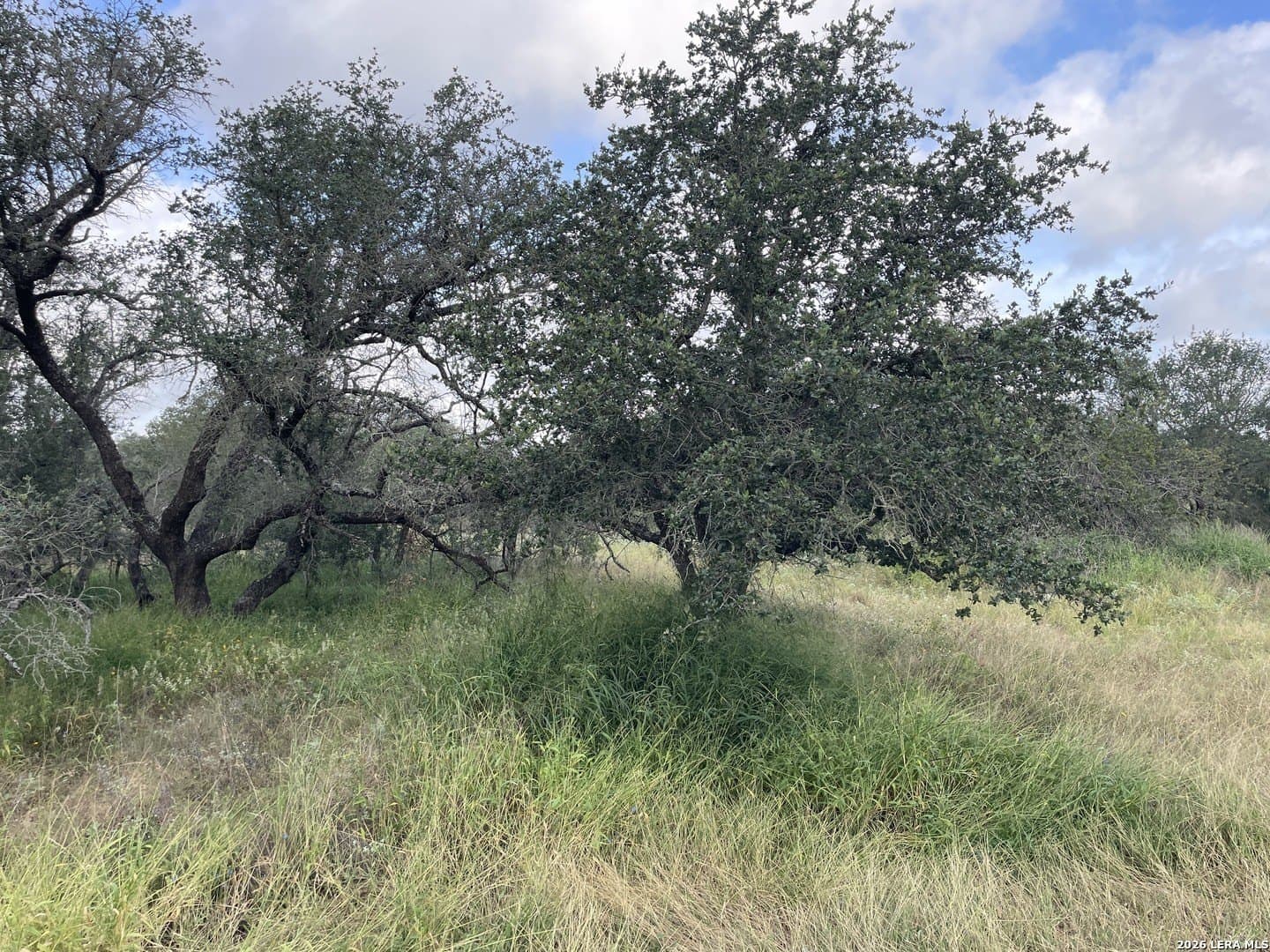 10.46 acres in Medina County - photo 8