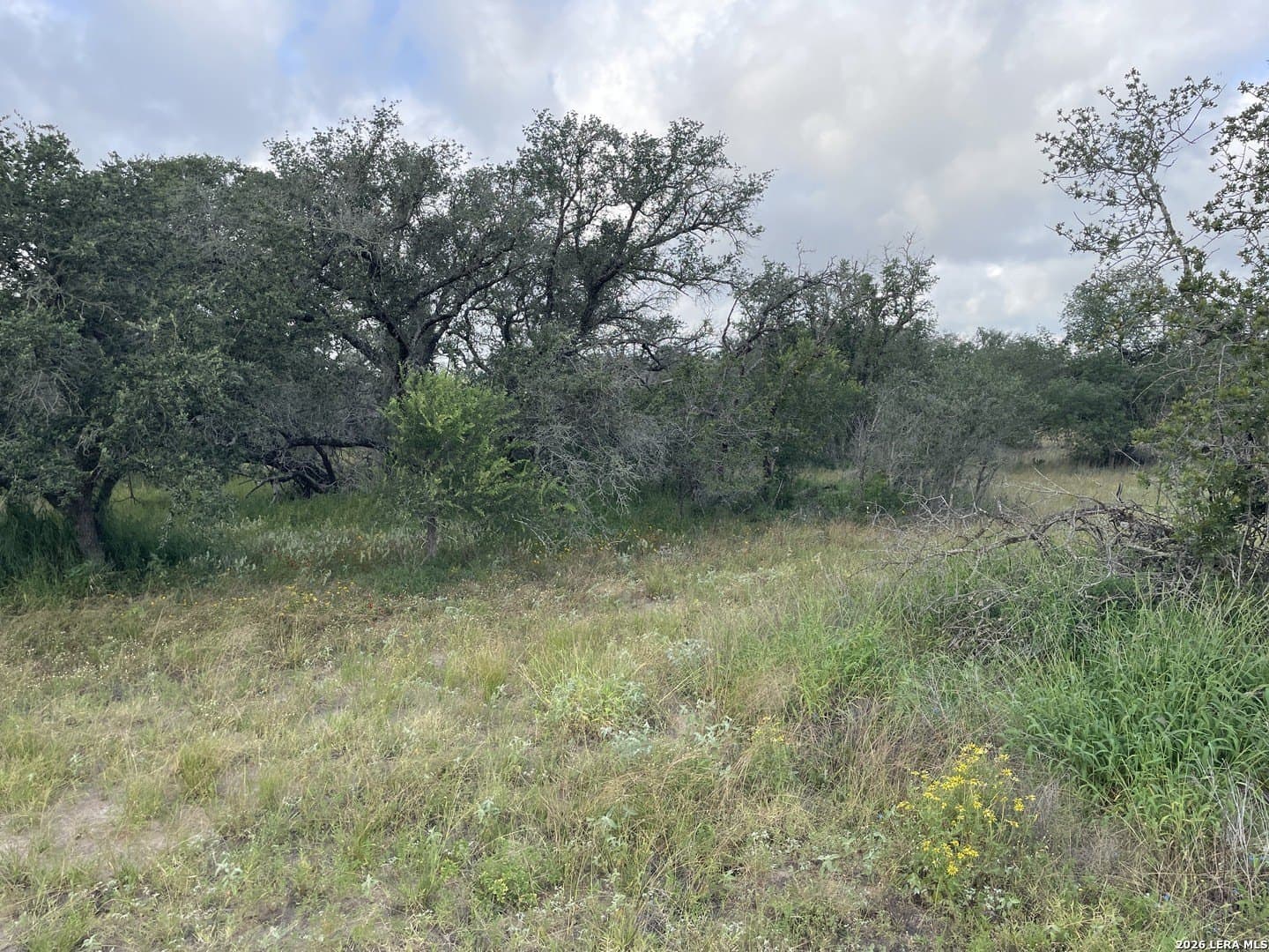 10.46 acres in Medina County - photo 9