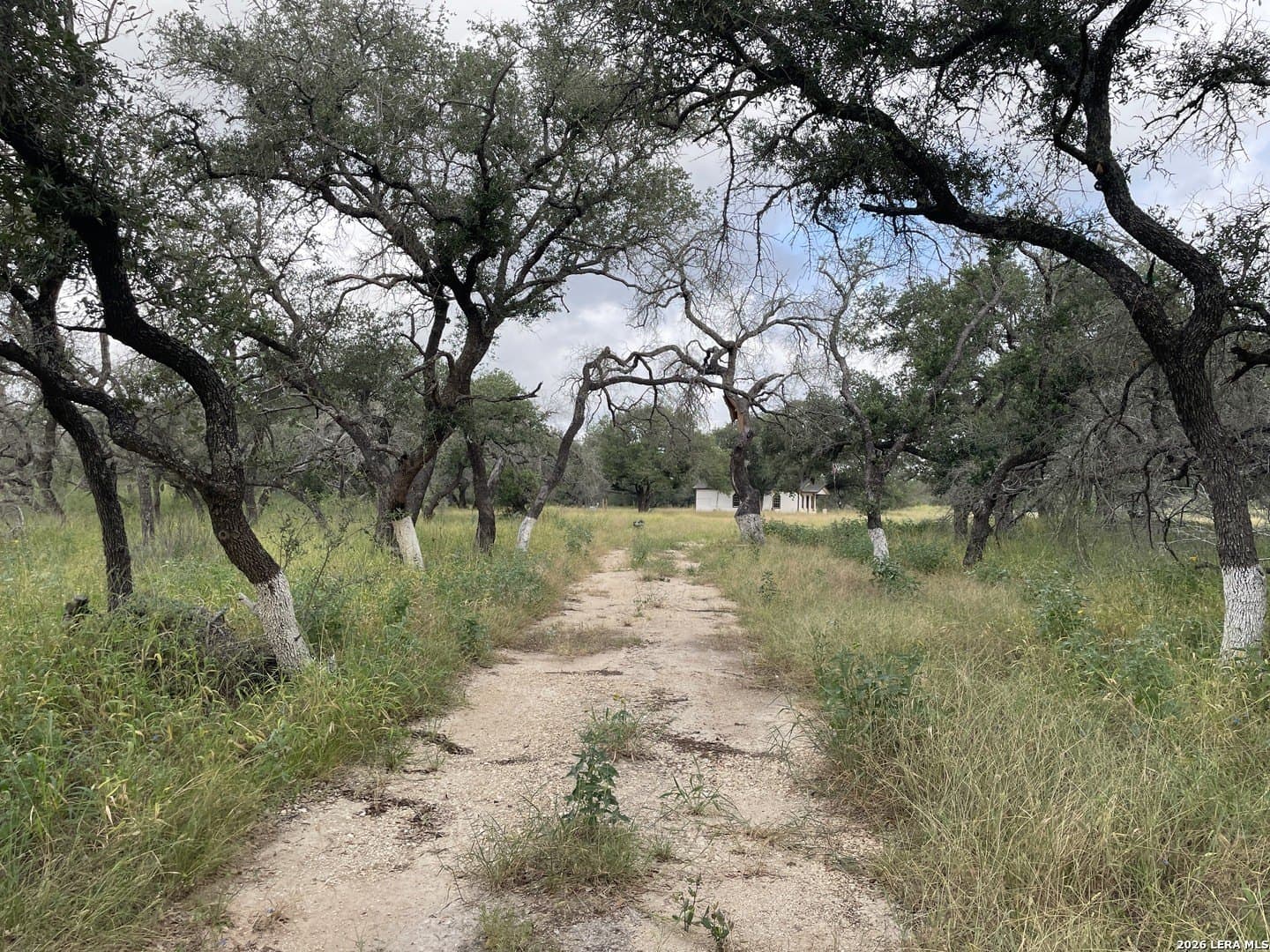 10.46 acres in Medina County gallery image 2