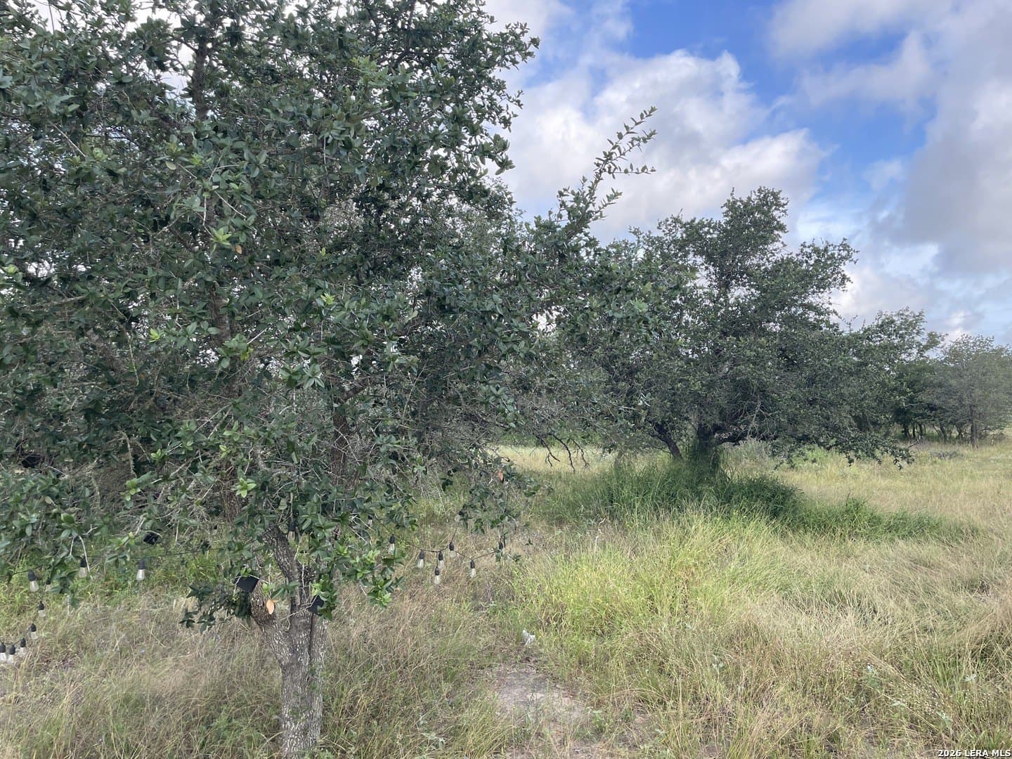 10.46 acres in Medina County - photo 7