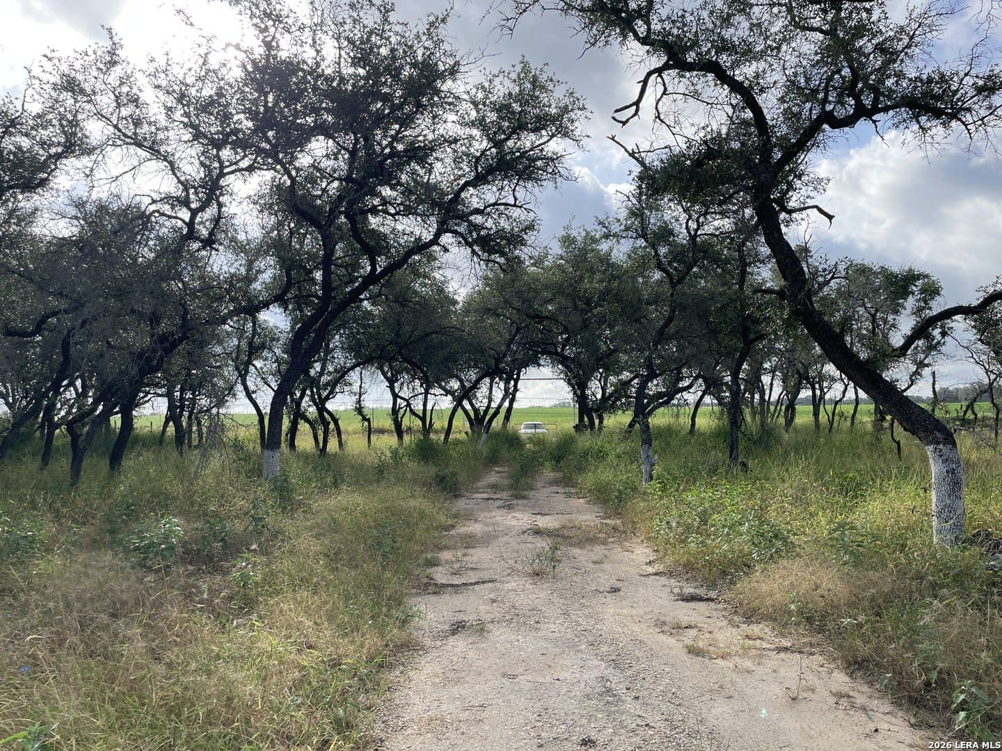 10.46 acres in Medina County - photo 12