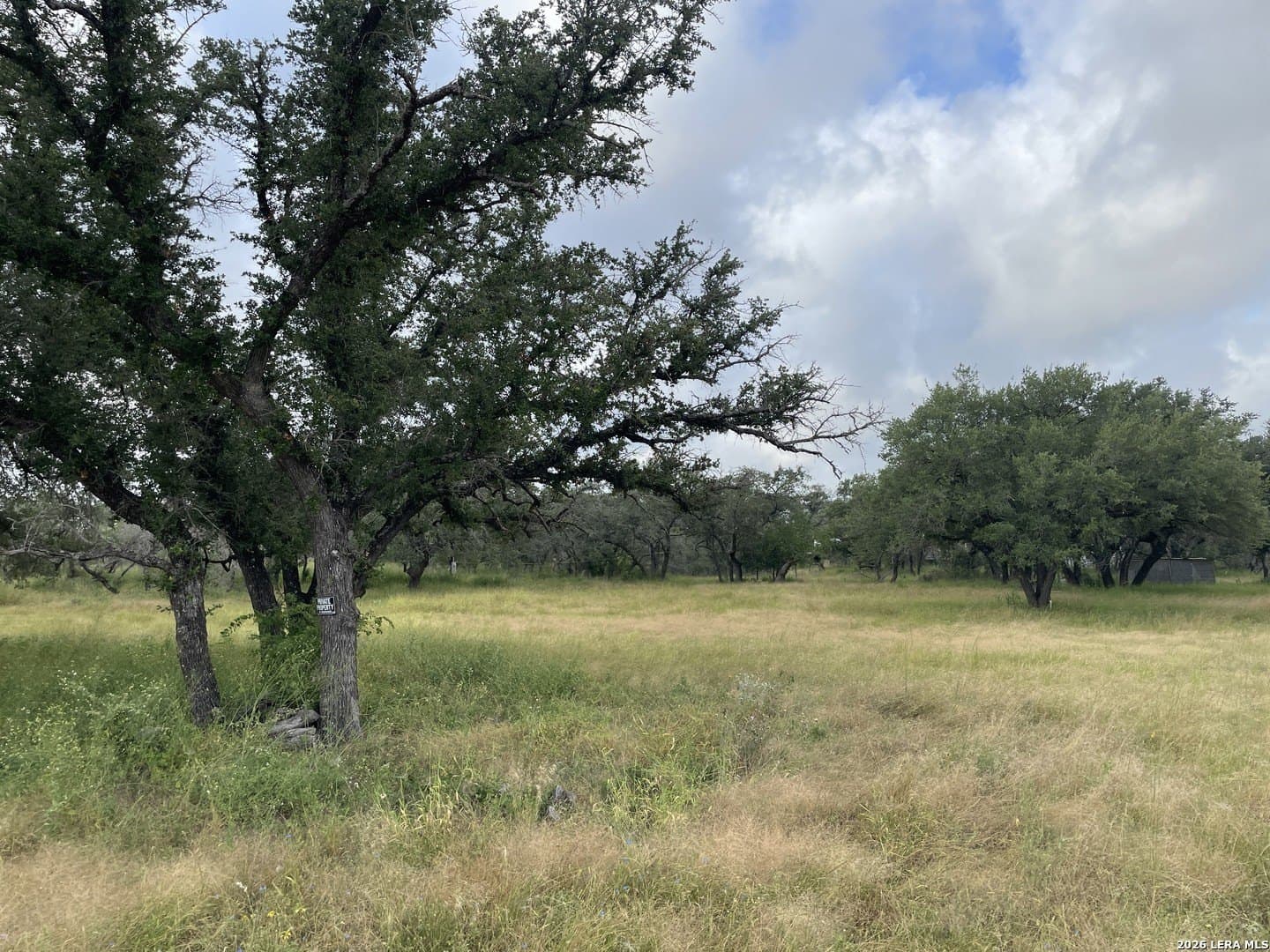10.46 acres in Medina County gallery image 3