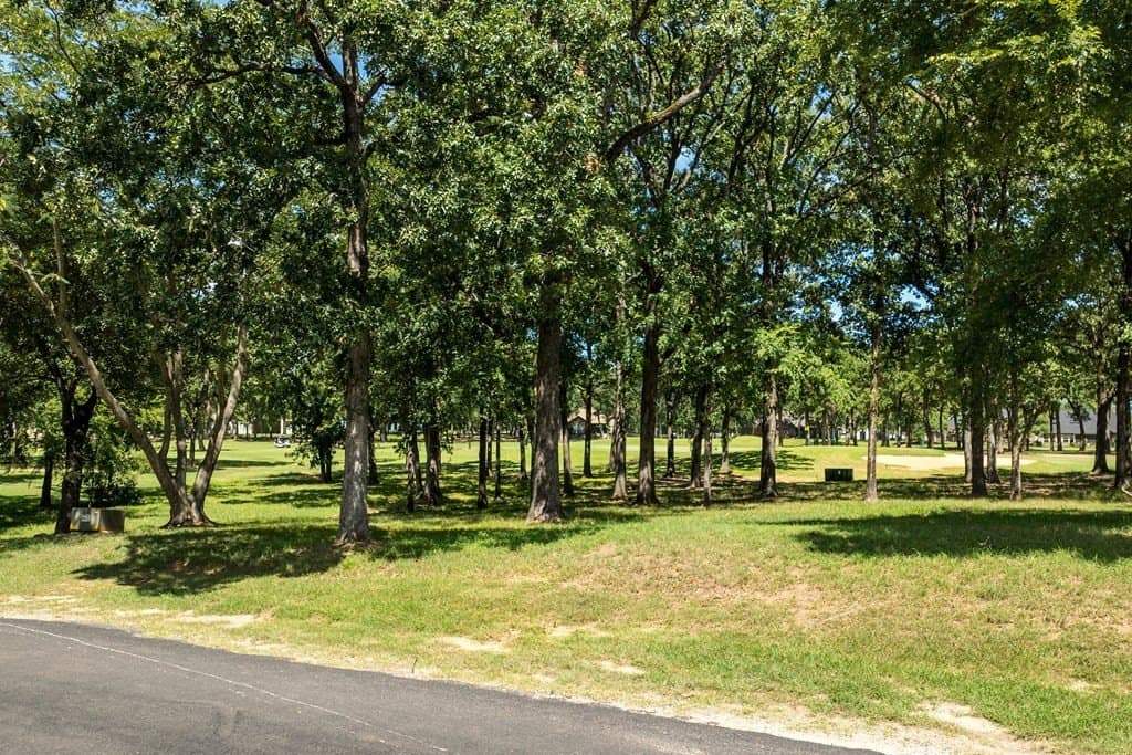 0.69 acres in Henderson County gallery image 4
