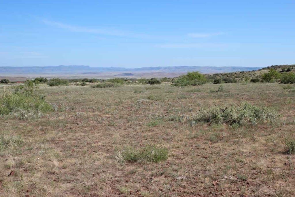 32.71 acres in Brewster County - photo 7