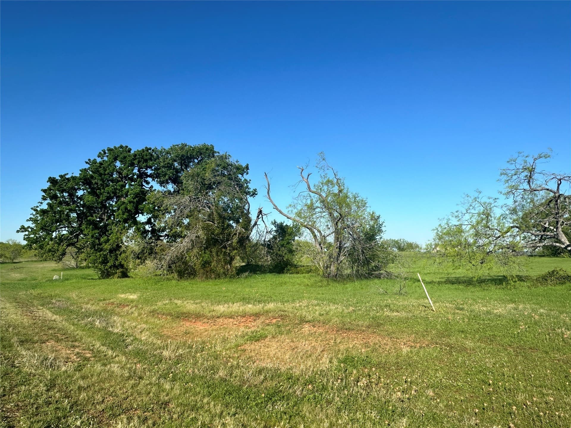 1 acres in Navarro County - photo 22