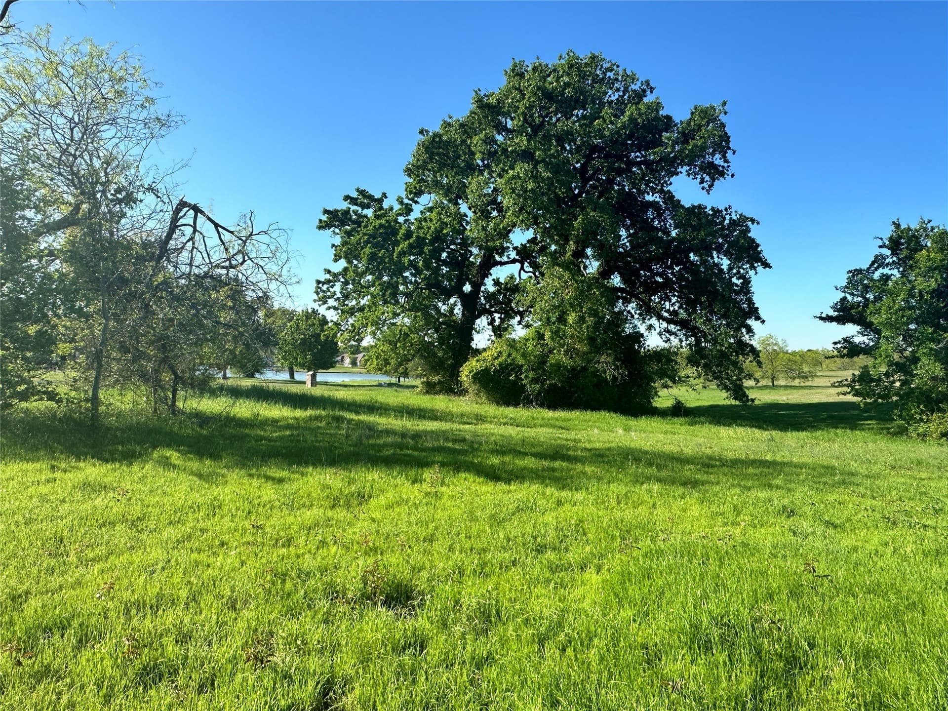 1 acres in Navarro County - photo 25