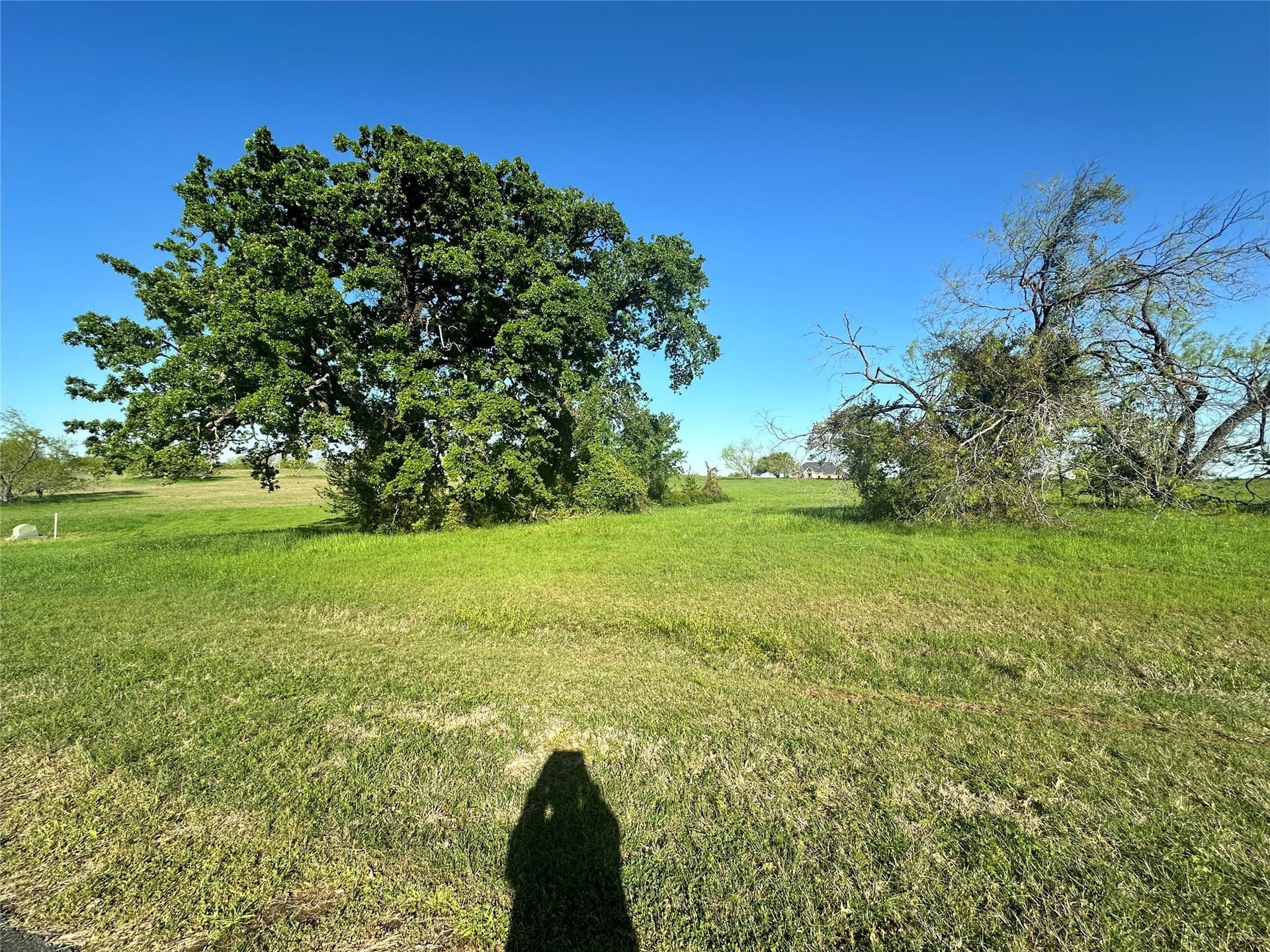 1 acres in Navarro County - photo 14