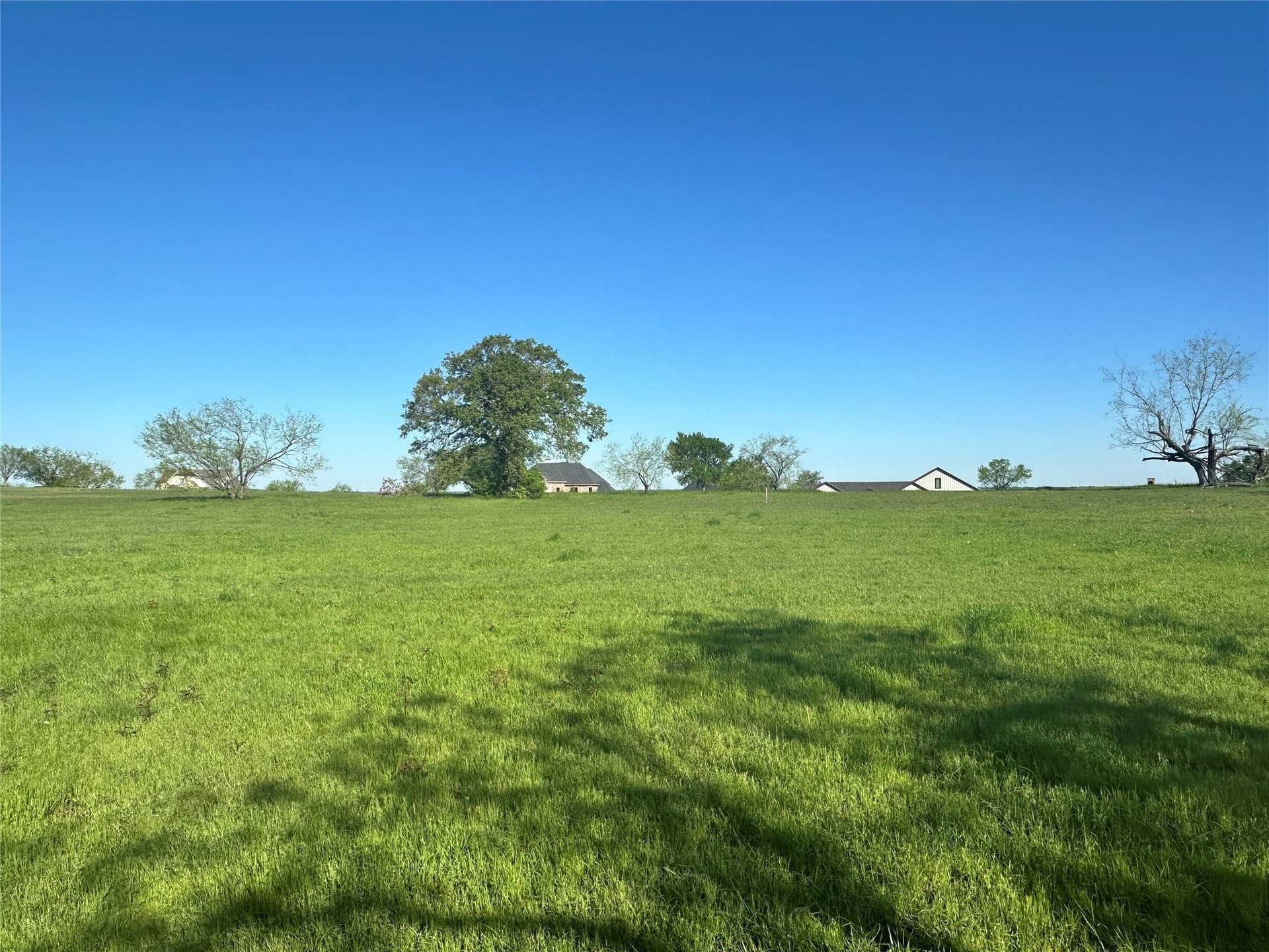 1 acres in Navarro County - photo 8