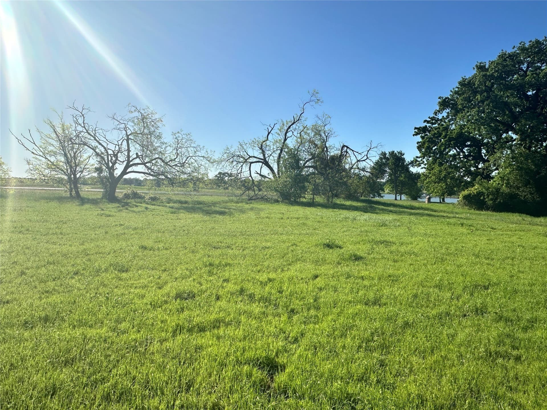 1 acres in Navarro County - photo 26