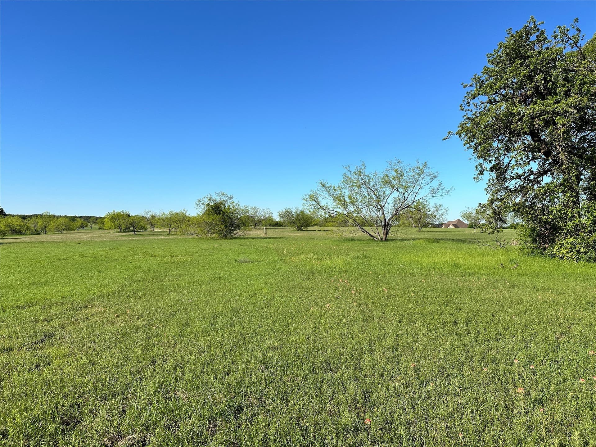1 acres in Navarro County - photo 28