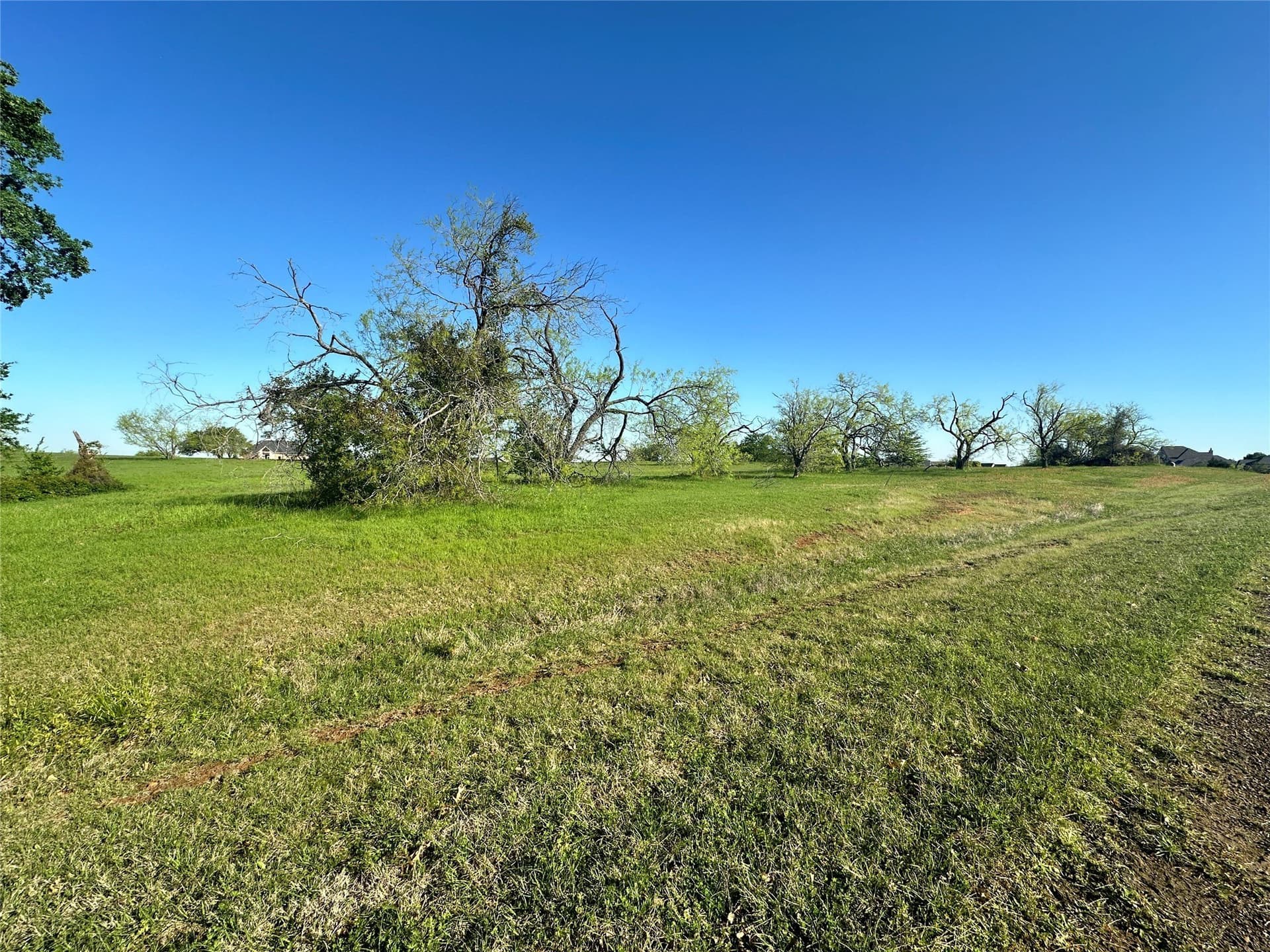 1 acres in Navarro County gallery image 3