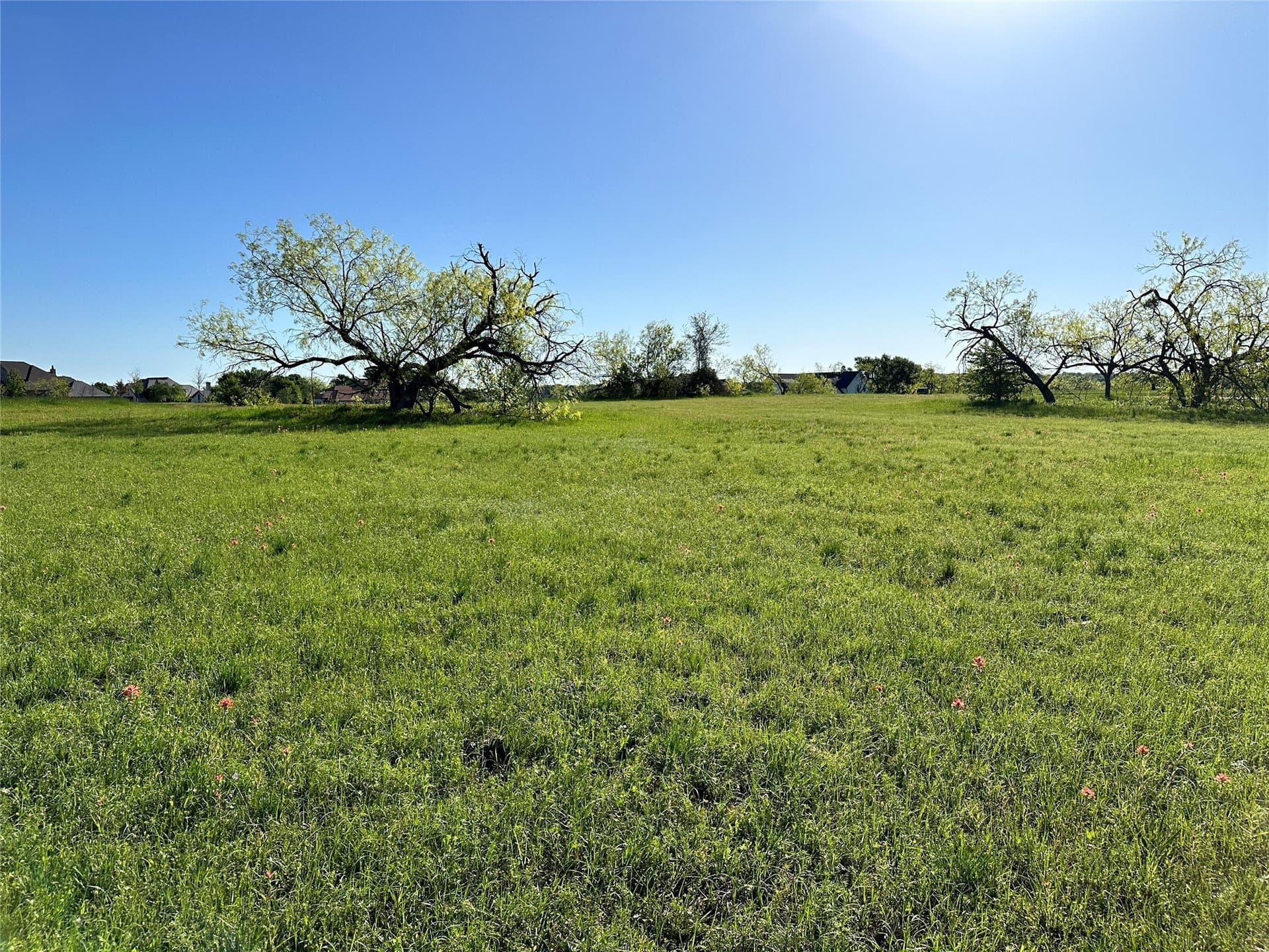 1 acres in Navarro County - photo 32