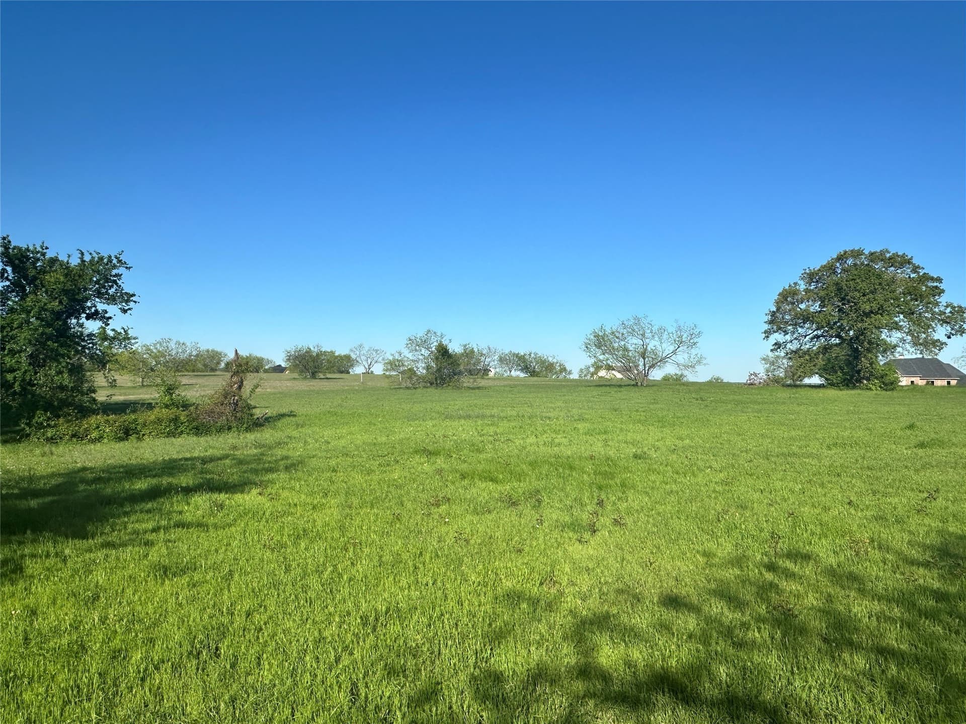 1 acres in Navarro County - photo 6