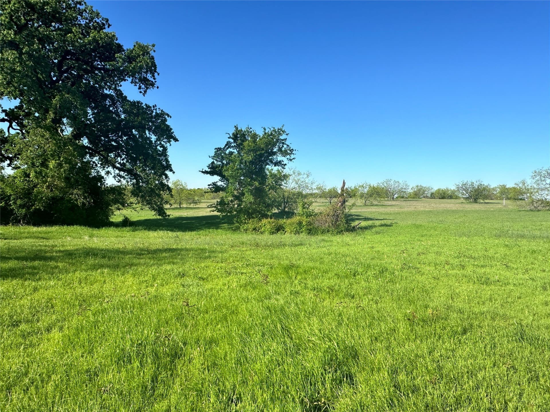 1 acres in Navarro County - photo 10