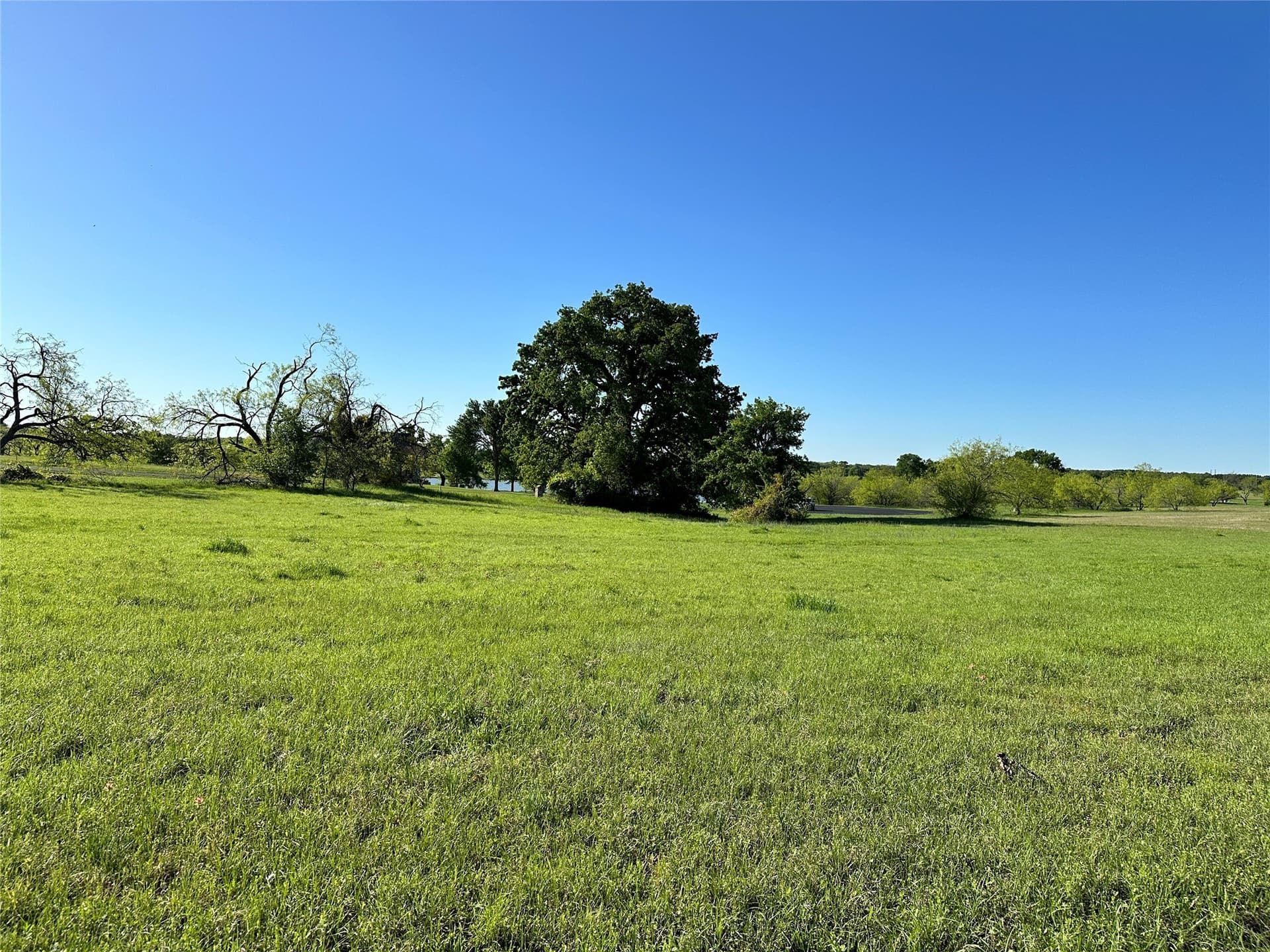 1 acres in Navarro County - photo 29