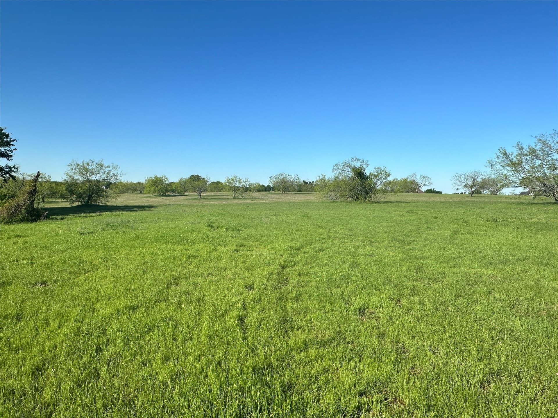 1 acres in Navarro County - photo 27