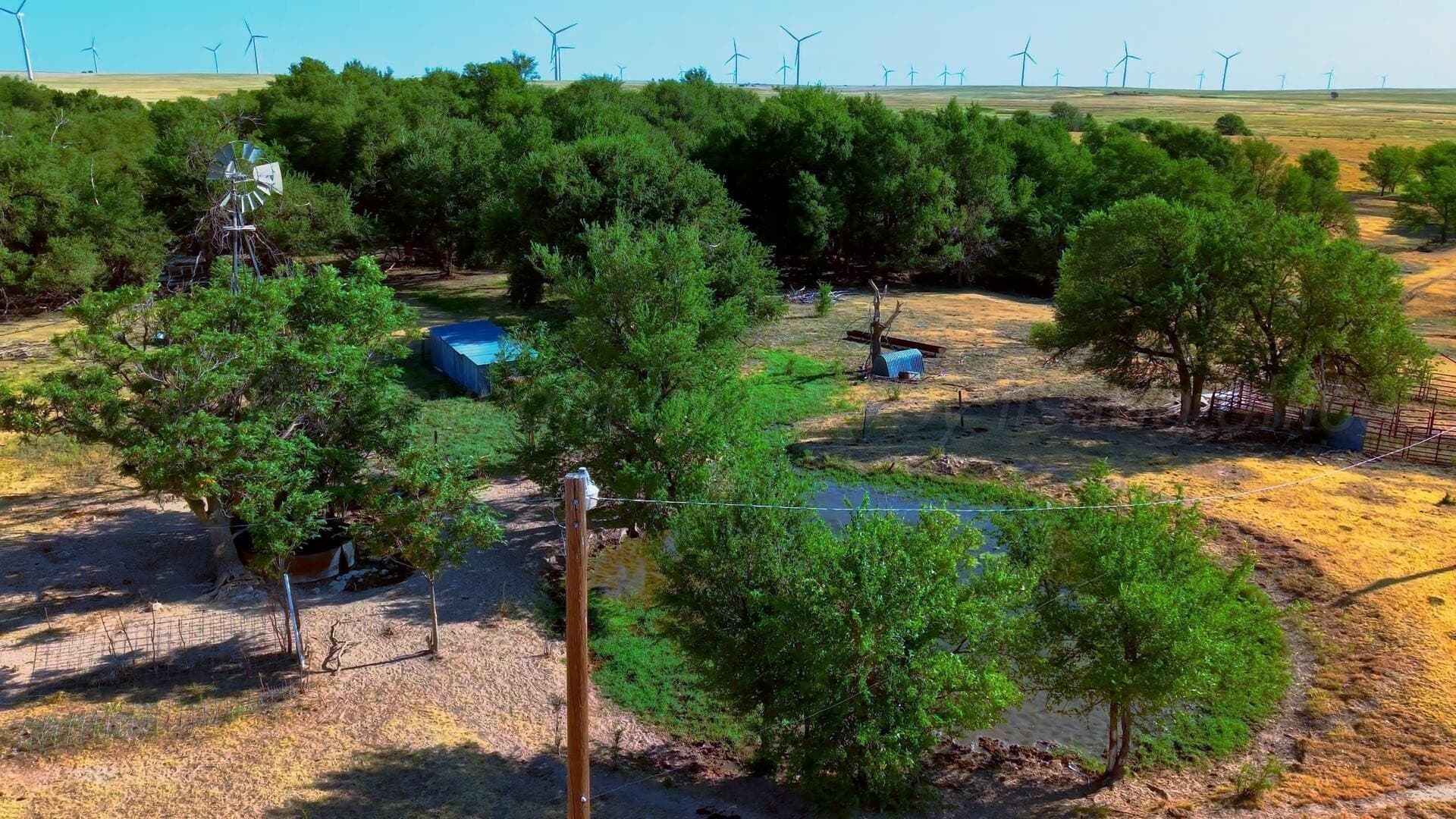 0 acres in Texas County - photo 22
