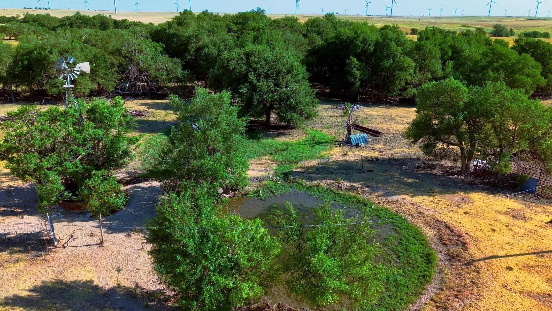 0 acres in Texas County - photo 3