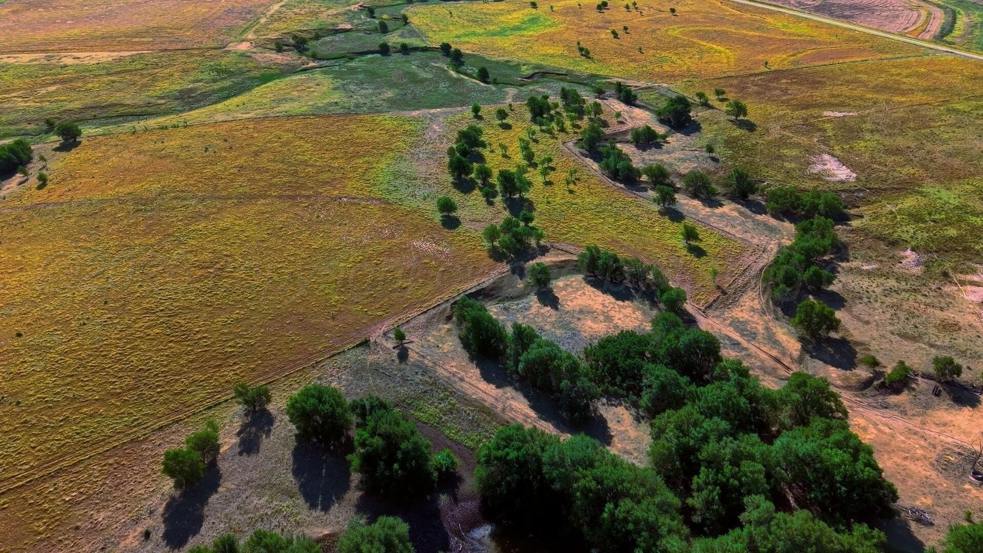 0 acres in Texas County - photo 5