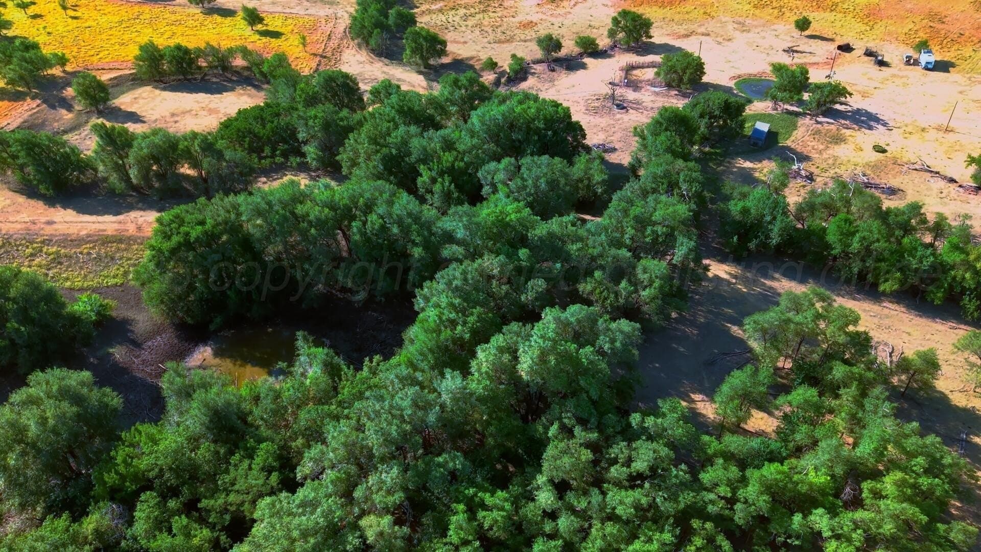 0 acres in Texas County - photo 8