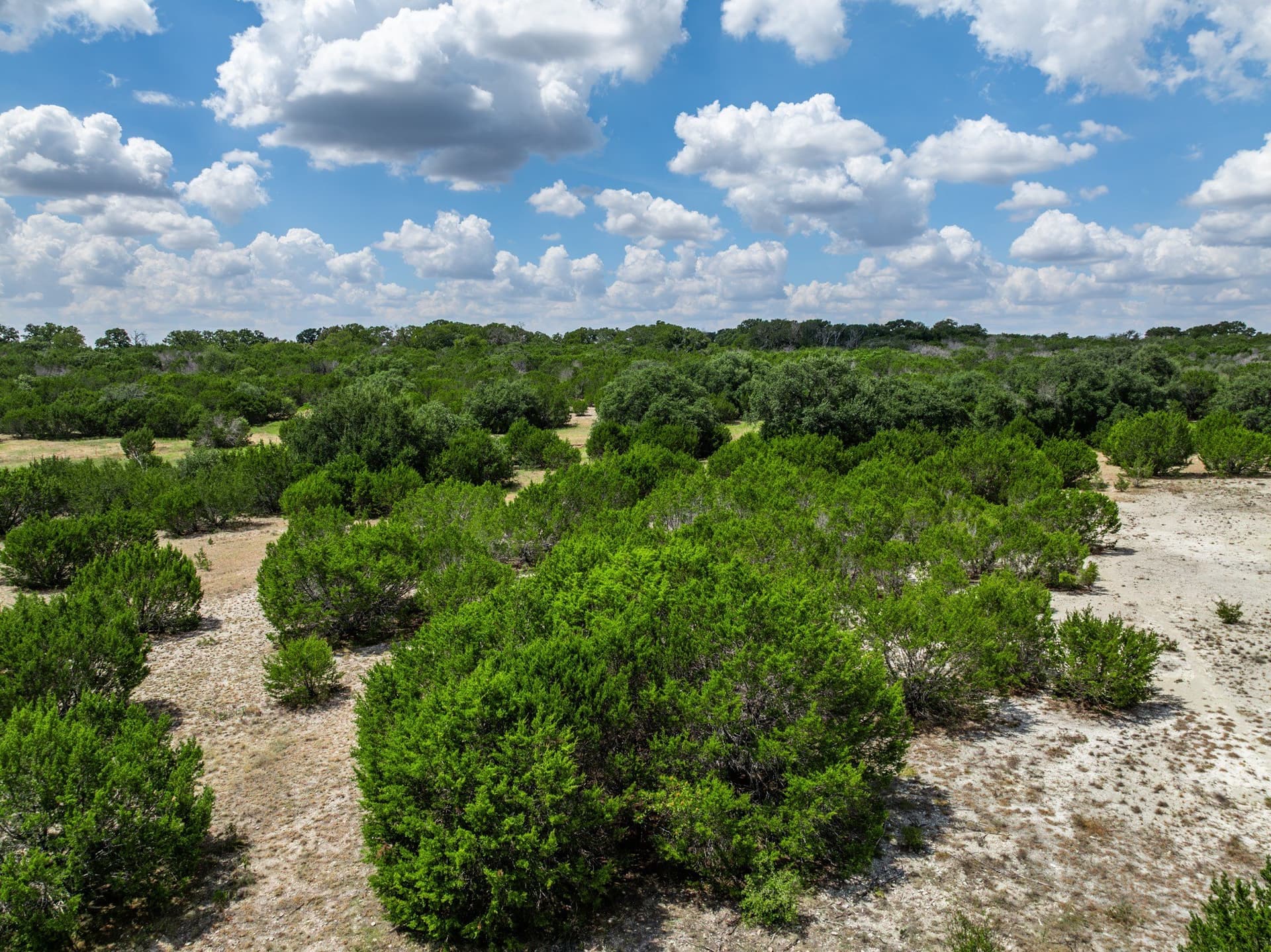 25 acres in Bosque County - photo 29