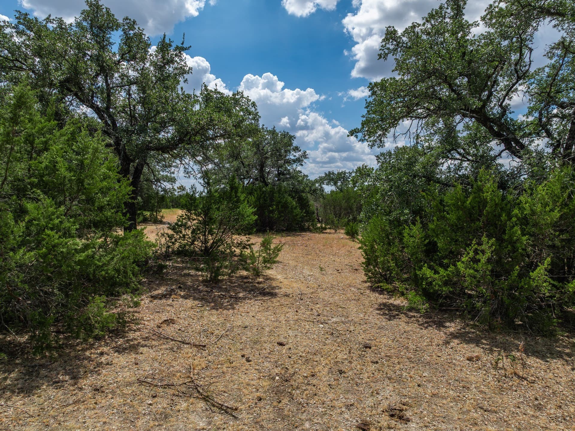25 acres in Bosque County - photo 16