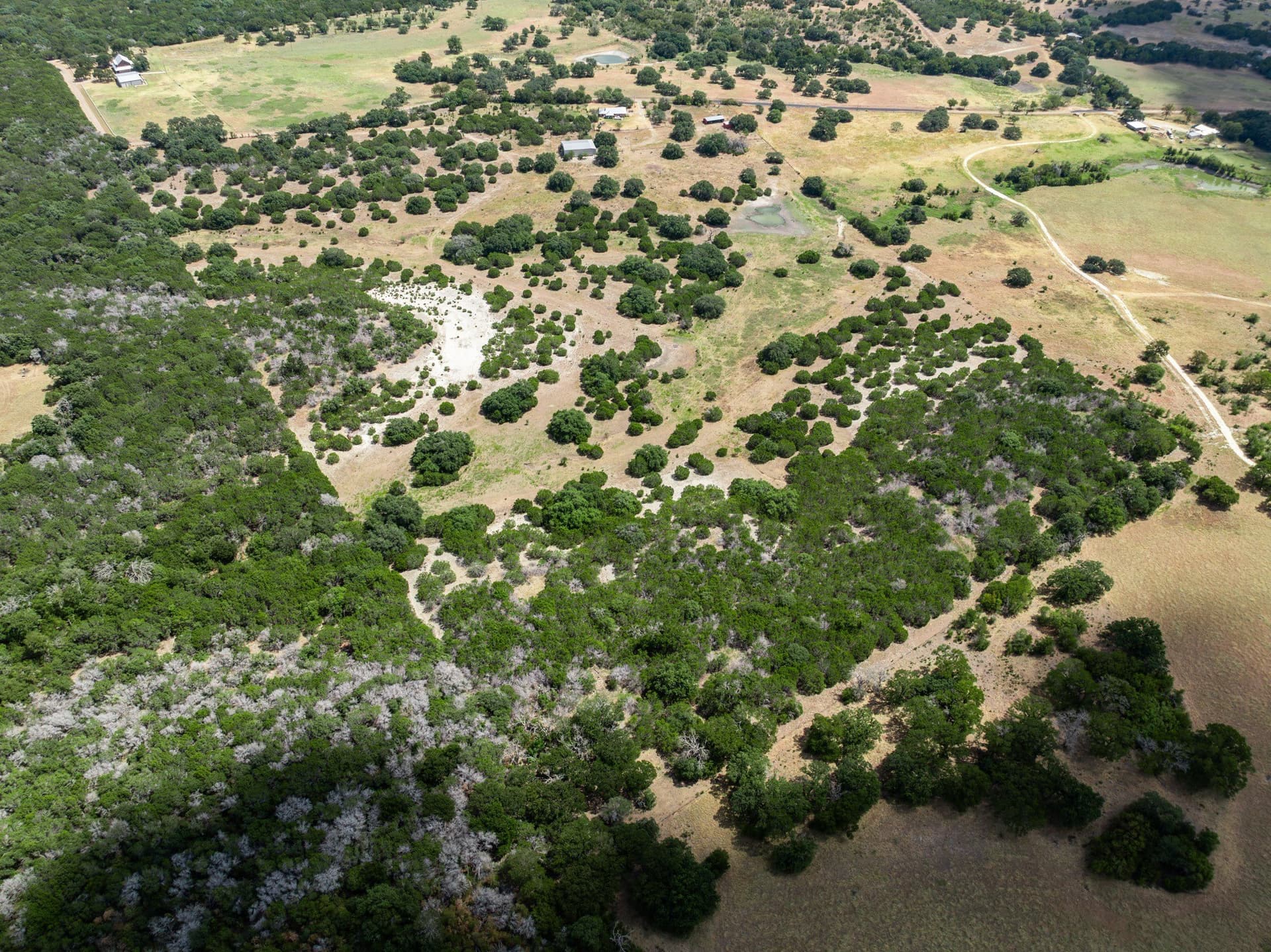 25 acres in Bosque County - photo 39