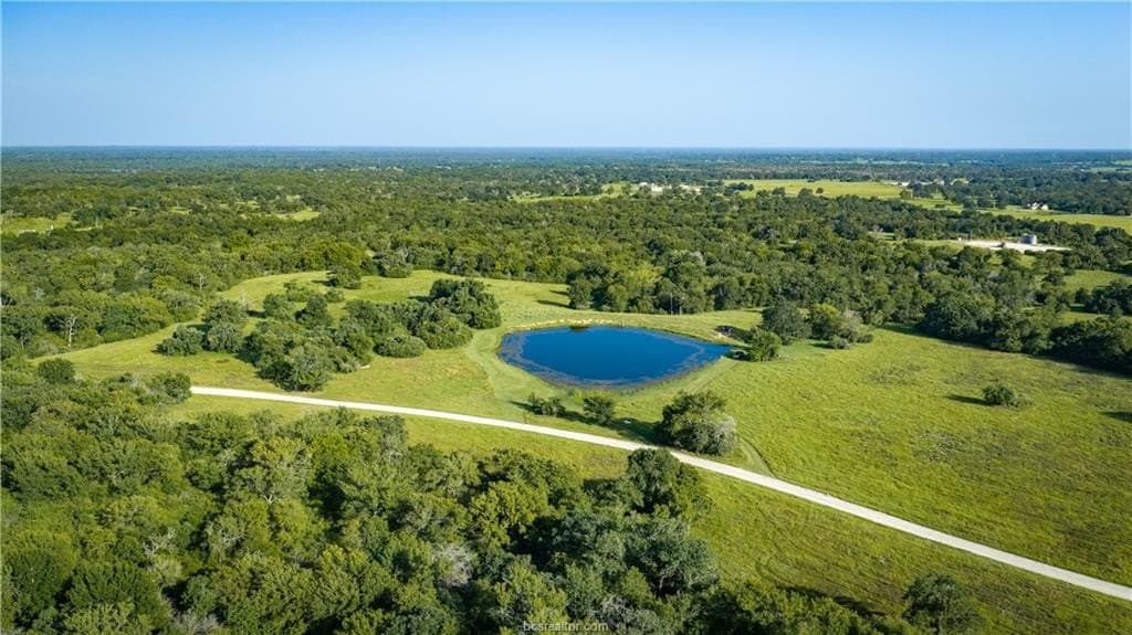 703 acres in Brazos County - photo 31