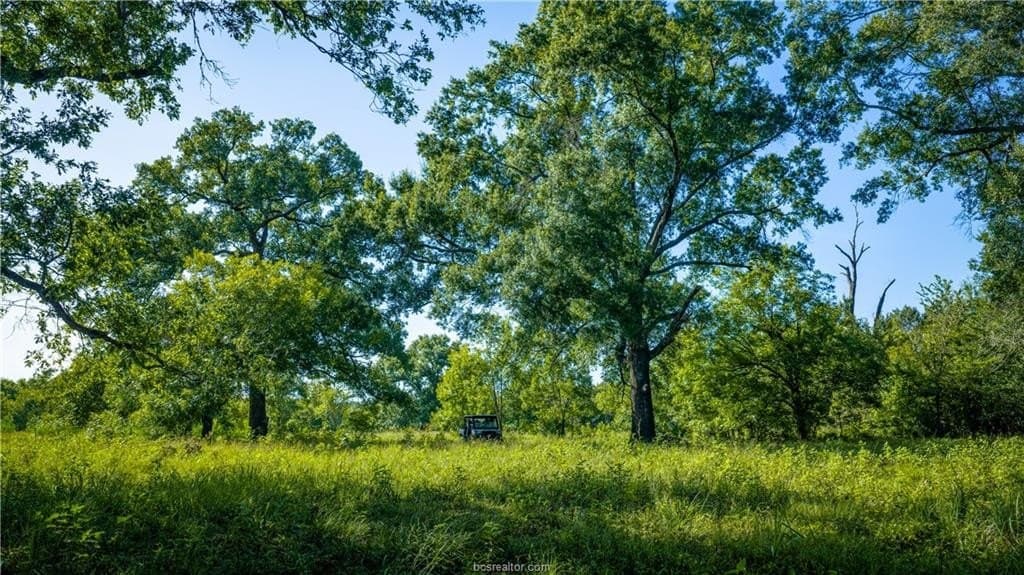 703 acres in Brazos County - photo 42