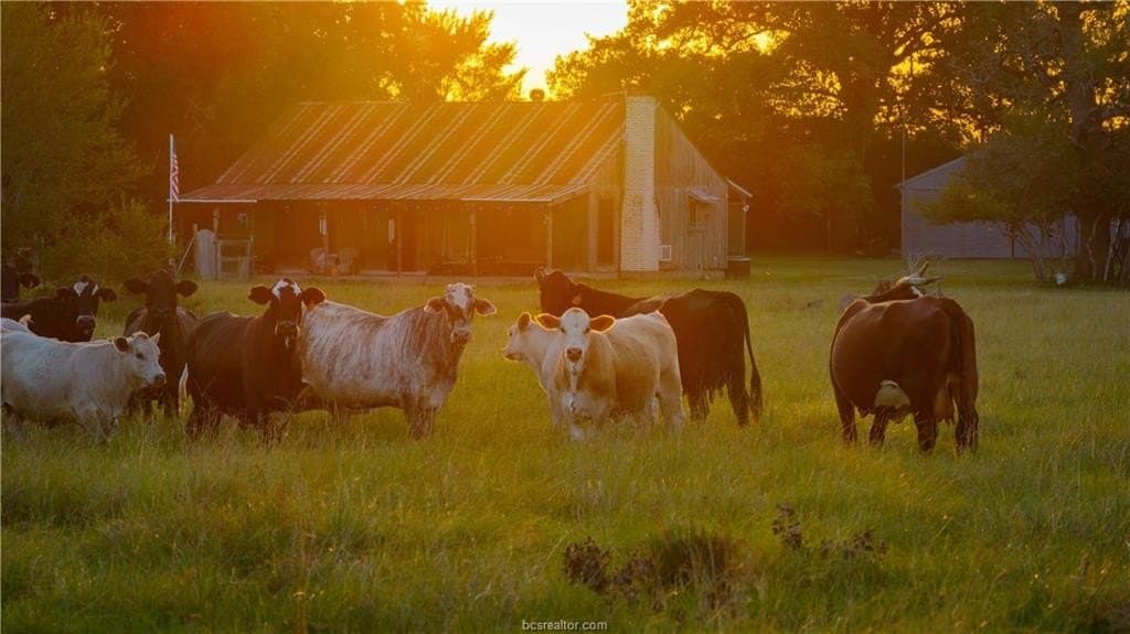 703 acres in Brazos County - photo 20