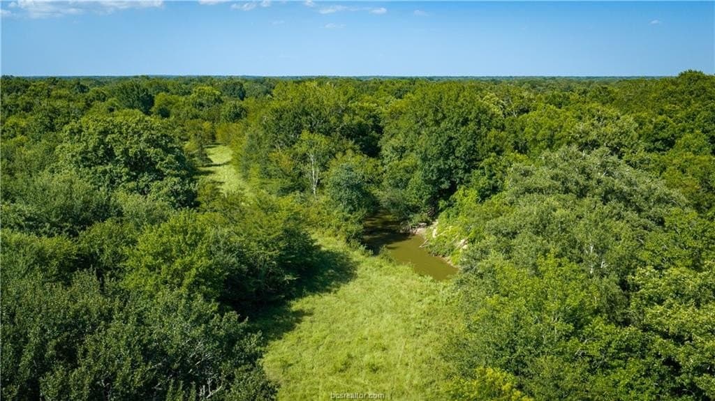 703 acres in Brazos County - photo 46