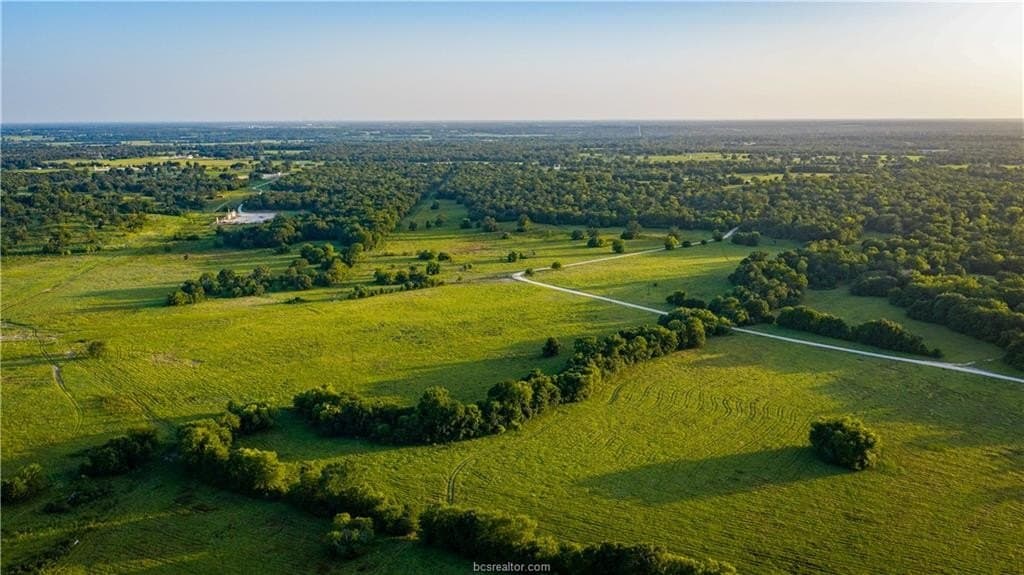 703 acres in Brazos County - photo 8
