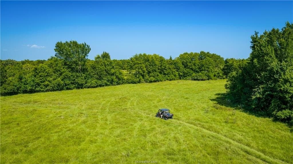 703 acres in Brazos County - photo 47