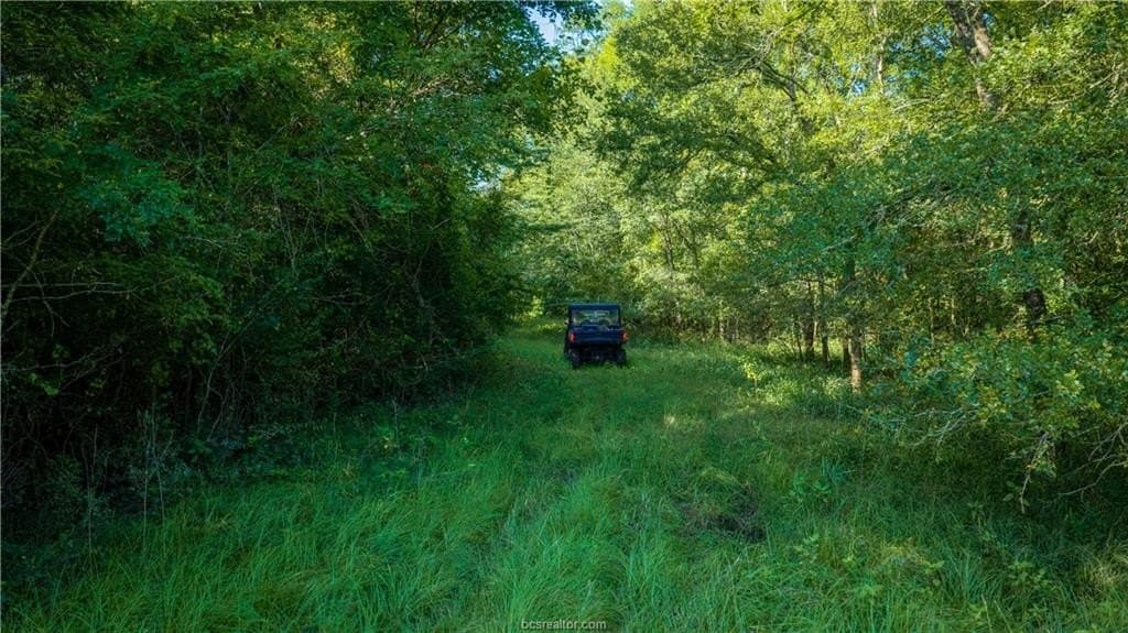 703 acres in Brazos County - photo 39