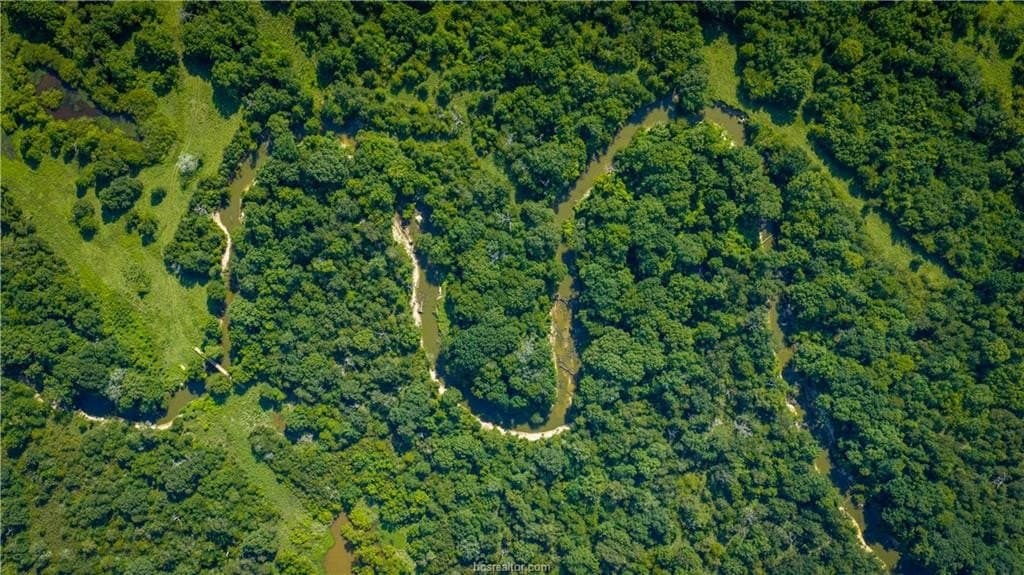703 acres in Brazos County - photo 5