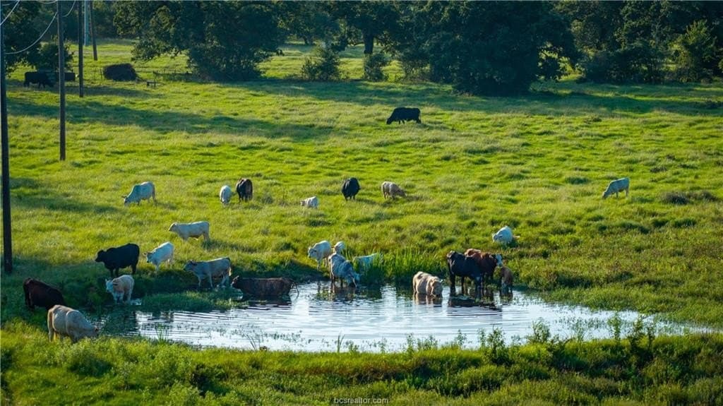 703 acres in Brazos County - photo 32