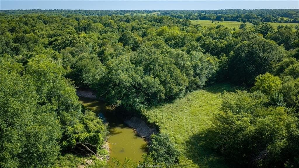 703 acres in Brazos County - photo 13