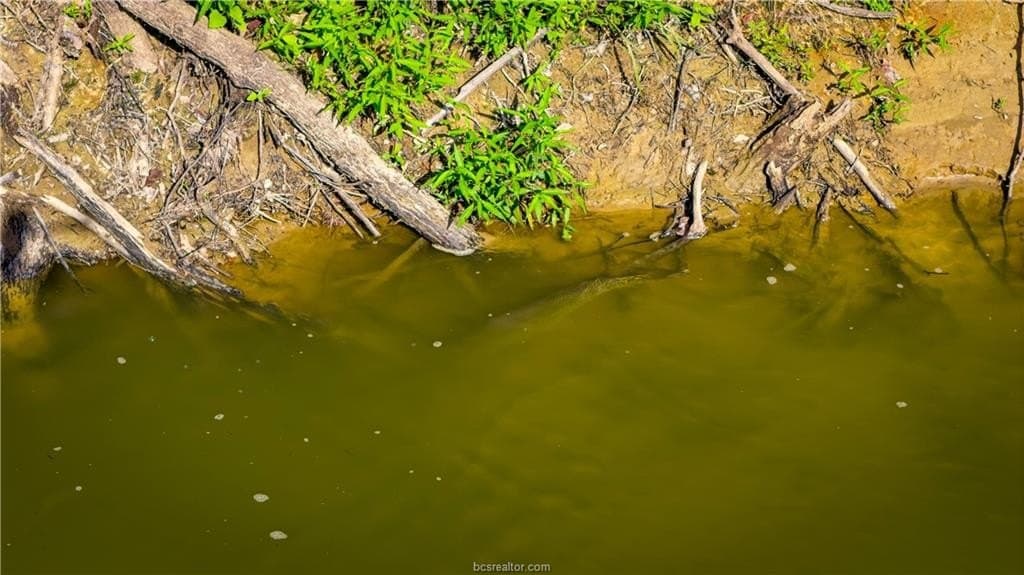 703 acres in Brazos County - photo 11
