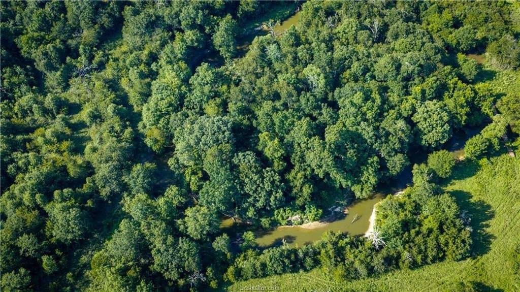703 acres in Brazos County - photo 28